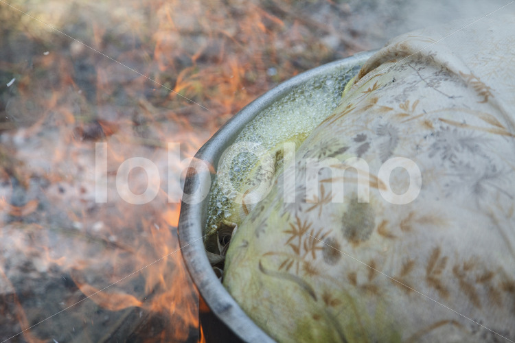 Kochen geernteter Kurkuma-Rhizome (Sri Lanka, PODIE) - lobOlmo Fair-Trade-Fotoarchiv