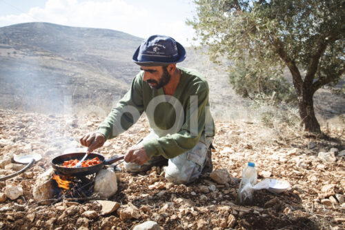 Kochen im Olivenhain während der Olivenernte (Palästina, CANAAN) - lobOlmo Fair-Trade-Fotoarchiv