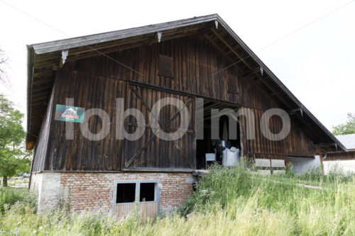 Kuhstall (Deutschland, Molkerei BGD) - lobOlmo Fair-Trade-Fotoarchiv