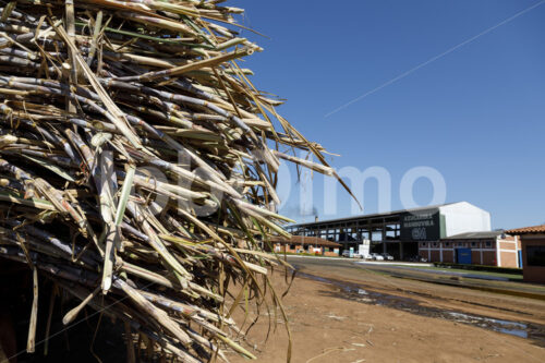 Manduvira-Zuckerraffinerie (Paraguay, Manduvira) - lobOlmo Fair-Trade-Fotoarchiv