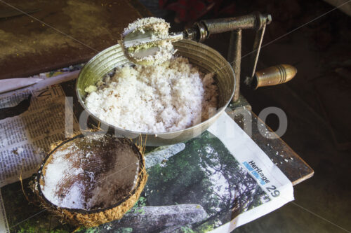 Manuelle Kokosmilchherstellung (Sri Lanka, MOPA/BioFoods) - lobOlmo Fair-Trade-Fotoarchiv