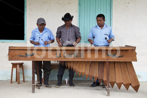 Marimbaspieler im Kakaodorf Punta Gorda (Belize, TCGA) - lobOlmo Fair-Trade-Fotoarchiv