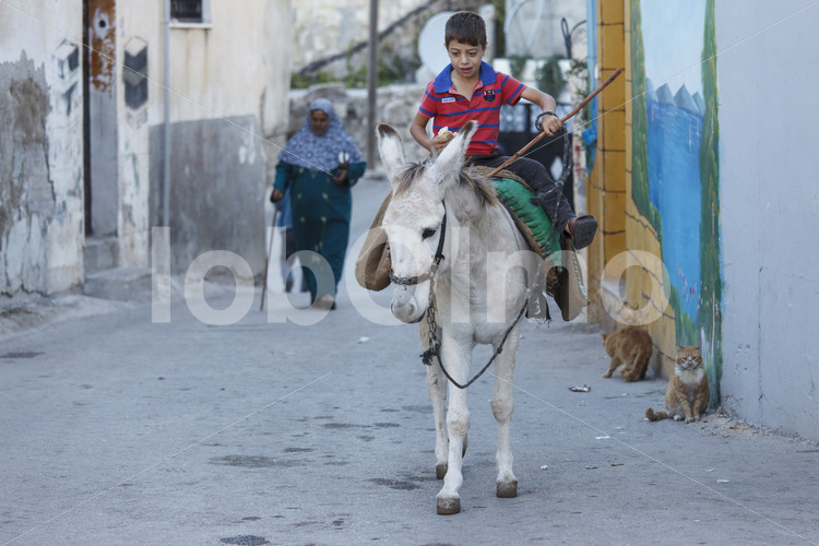 Olivendorf Nisf Jubeil (Palästina, CANAAN) - lobOlmo Fair-Trade-Fotoarchiv