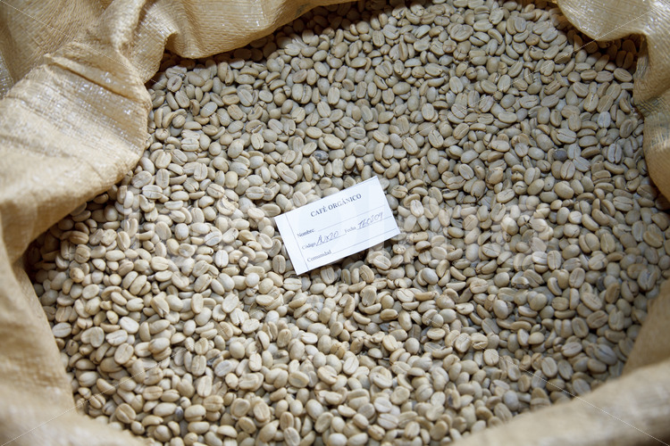 Pergamentkaffee (Guatemala, GUAYA’B) - lobOlmo Fair-Trade-Fotoarchiv