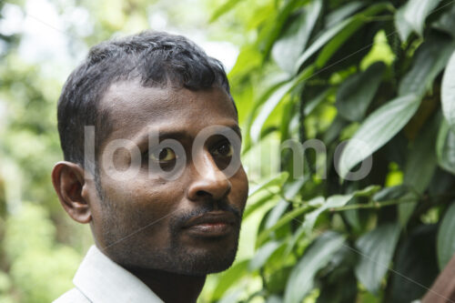 Pfefferbauer (Sri Lanka, PODIE) - lobOlmo Fair-Trade-Fotoarchiv