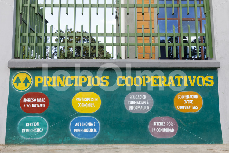 Prinzipien der Kooperative (Bolivien, EL CEIBO) - lobOlmo Fair-Trade-Fotoarchiv