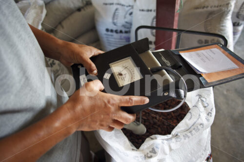Qualitätskontrolle des Rohkakaos (Belize, TCGA) - lobOlmo Fair-Trade-Fotoarchiv