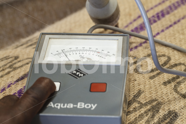 Qualitätskontrolle des Rohkakaos (Ghana, Kuapa Kokoo) - lobOlmo Fair-Trade-Fotoarchiv