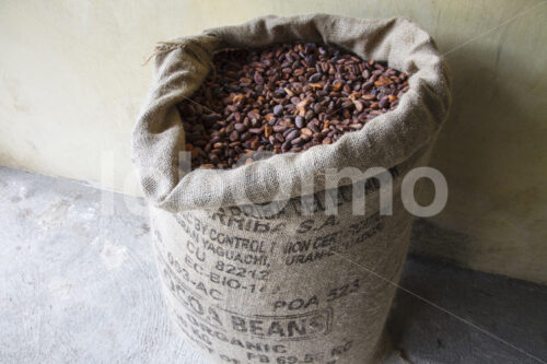 Rohkakao (Ecuador, UROCAL) - lobOlmo Fair-Trade-Fotoarchiv