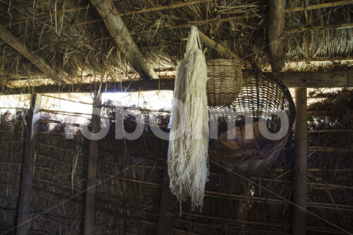 Schafwolle (Chile, Chol-Chol) - lobOlmo Fair-Trade-Fotoarchiv