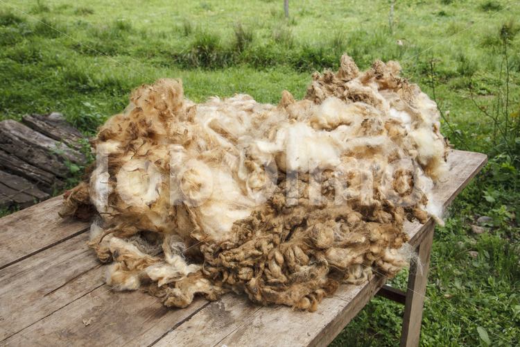 Schafwolle nach der Schur (Chile, Chol-Chol) - lobOlmo Fair-Trade-Fotoarchiv