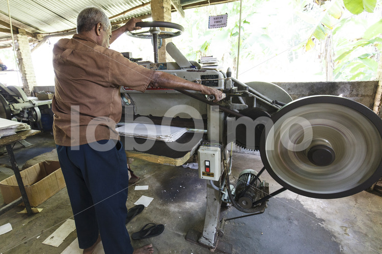 Schneiden von Elefantenkot-Papier (Sri Lanka, MAXIMUS) - lobOlmo Fair-Trade-Fotoarchiv