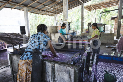 Schöpfen von Elefantenkot-Papier (Sri Lanka, MAXIMUS) - lobOlmo Fair-Trade-Fotoarchiv