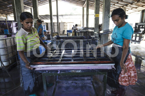 Schöpfen von Elefantenkot-Papier (Sri Lanka, MAXIMUS) - lobOlmo Fair-Trade-Fotoarchiv