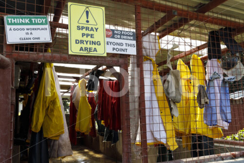 Schutzkleidung für Pestizid-Sprüher (Kenia, Panda Flowers) - lobOlmo Fair-Trade-Fotoarchiv