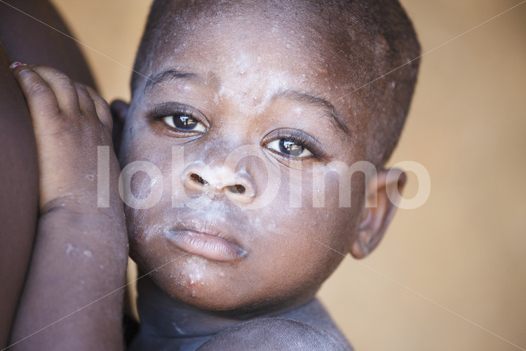 Sohn einer Kakaobauernfamilie (Ghana, ABOCFA) - lobOlmo Fair-Trade-Fotoarchiv