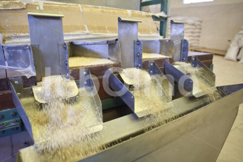 Sortieren der Quinoa (Bolivien, ANAPQUI) - lobOlmo Fair-Trade-Fotoarchiv