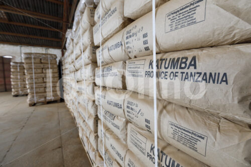 Tee-Lager (Tansania, RBTC-JE/WATCO) - lobOlmo Fair-Trade-Fotoarchiv
