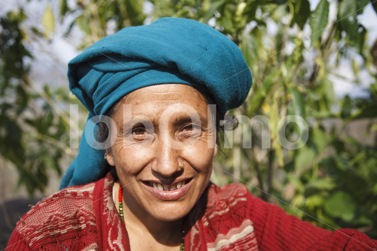 Teepflückerin (Nepal, KTE) - lobOlmo Fair-Trade-Fotoarchiv