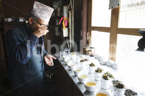 Teeverkostung (Nepal, KTE) - lobOlmo Fair-Trade-Fotoarchiv
