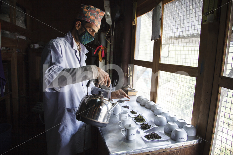 Teeverkostung (Nepal, KTE) - lobOlmo Fair-Trade-Fotoarchiv