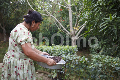 Traditionelle Zubereitung von Trinkschokolade (Belize, TCGA) - lobOlmo Fair-Trade-Fotoarchiv