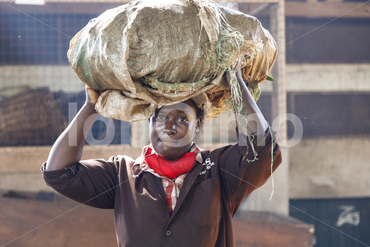 Transport blanchierter Vanilleschoten (Uganda, Esco) - lobOlmo Fair-Trade-Fotoarchiv