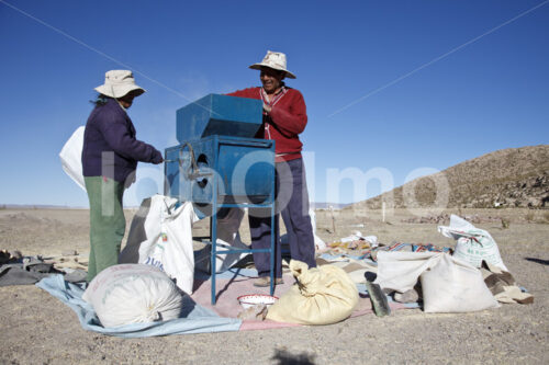 Trennen von Spreu und Quinoakörnern (Bolivien, ANAPQUI) - lobOlmo Fair-Trade-Fotoarchiv