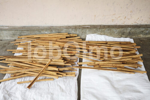 Trocknen der Zimtinnenrinde (Sri Lanka, SOFA/BioFoods) - lobOlmo Fair-Trade-Fotoarchiv