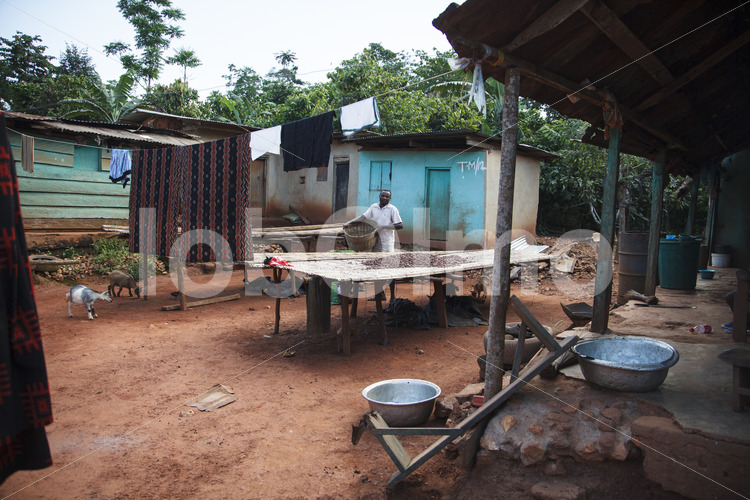 Trocknen fermentierter Kakaobohnen (Ghana, ABOCFA) - lobOlmo Fair-Trade-Fotoarchiv