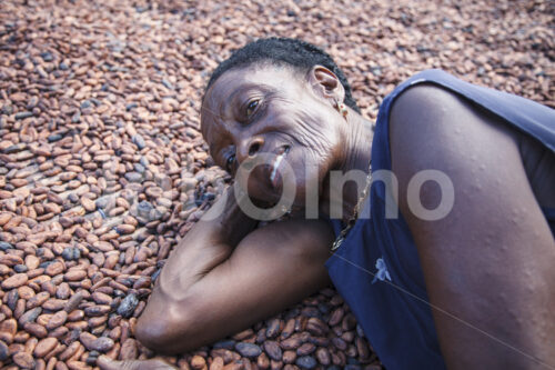 Trocknen fermentierter Kakaobohnen (Ghana, ABOCFA) - lobOlmo Fair-Trade-Fotoarchiv