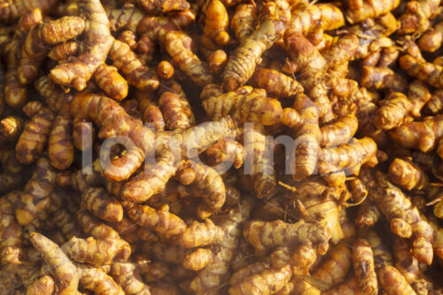 Trocknen gekochter Kurkuma-Rhizome (Sri Lanka, PODIE) - lobOlmo Fair-Trade-Fotoarchiv