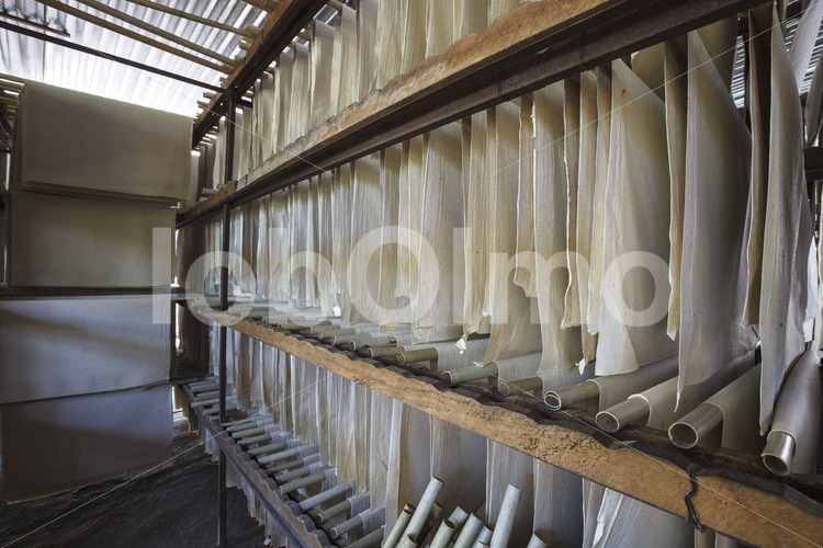Trocknen von Elefantenkot-Papier (Sri Lanka, MAXIMUS) - lobOlmo Fair-Trade-Fotoarchiv