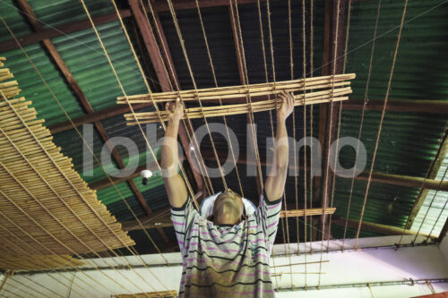 Trocknen von Zimtquills (Sri Lanka, SOFA/BioFoods) - lobOlmo Fair-Trade-Fotoarchiv
