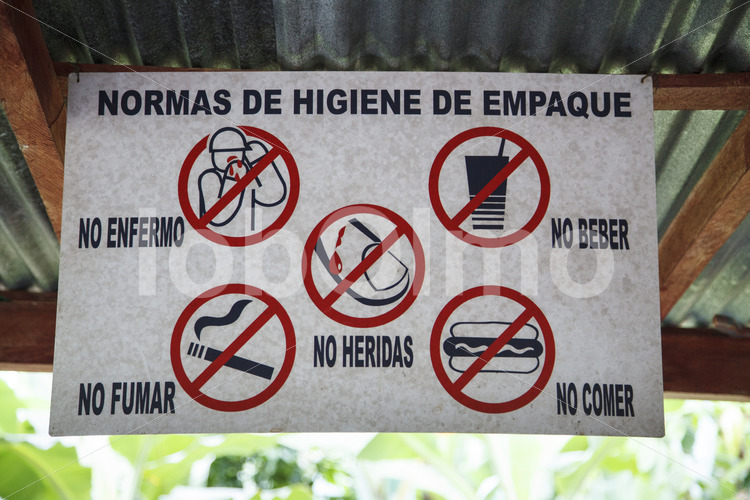 Verbotsschild auf einer Bananenfarm (Ecuador, UROCAL) - lobOlmo Fair-Trade-Fotoarchiv