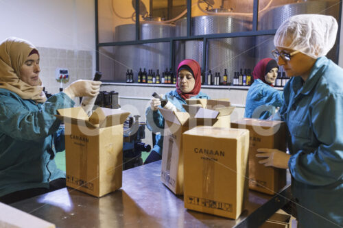 Verpacken von Olivenöl (Palästina, CANAAN) - lobOlmo Fair-Trade-Fotoarchiv