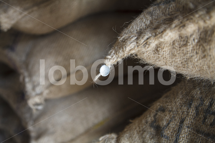 Versiegelter Kakaosack (Ghana, ABOCFA) - lobOlmo Fair-Trade-Fotoarchiv