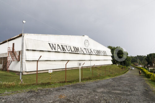 WATCO-Teefabrik (Tansania, RBTC-JE/WATCO) - lobOlmo Fair-Trade-Fotoarchiv