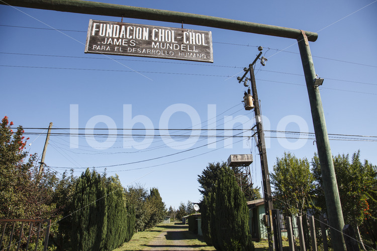 Weberinnen-Kooperative Chol-Chol (Chile, Chol-Chol) - lobOlmo Fair-Trade-Fotoarchiv
