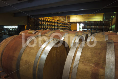 Weinfasslager (Chile, Miguel Torres) - lobOlmo Fair-Trade-Fotoarchiv