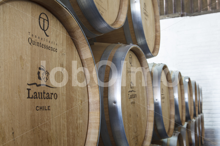 Weinfasslager (Chile, Vinos Lautaro) - lobOlmo Fair-Trade-Fotoarchiv