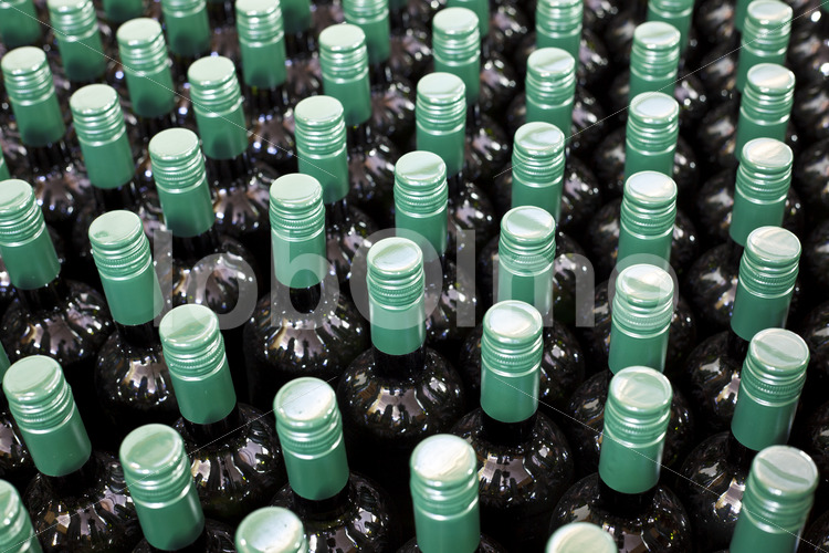 Weinflaschen (Chile, Vinos Lautaro) - lobOlmo Fair-Trade-Fotoarchiv