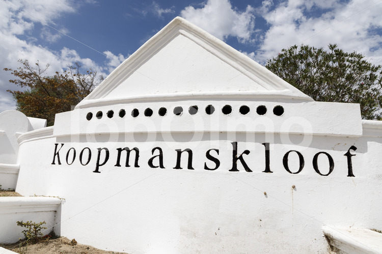 Weingut Koopmanskloof (Südafrika, Koopmanskloof) - lobOlmo Fair-Trade-Fotoarchiv