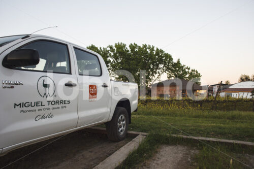 Weingut Miguel Torres (Chile, Miguel Torres) - lobOlmo Fair-Trade-Fotoarchiv