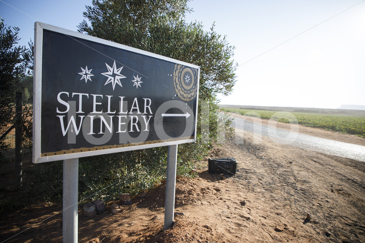 Weingut Stellar Organics (Südafrika, Stellar Organics) - lobOlmo Fair-Trade-Fotoarchiv