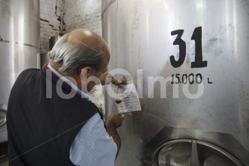 Weinverkostung (Chile, Vinos Lautaro) - lobOlmo Fair-Trade-Fotoarchiv