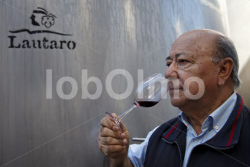 Weinverkostung (Chile, Vinos Lautaro) - lobOlmo Fair-Trade-Fotoarchiv