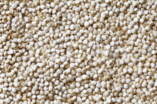 Weiße Quinoa (Bolivien, ANAPQUI) - lobOlmo Fair-Trade-Fotoarchiv