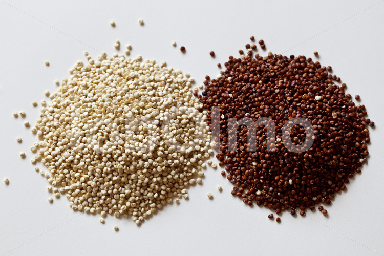 Weiße und rote Quinoa (Bolivien, ANAPQUI) - lobOlmo Fair-Trade-Fotoarchiv
