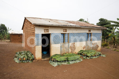 Wohnhaus einer Ananasbauernfamilie (Tansania, Matunda Mema) - lobOlmo Fair-Trade-Fotoarchiv
